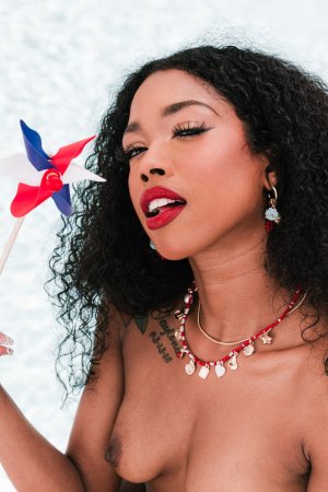 Mia Love in red white blue bikini posing with American flag photo 16